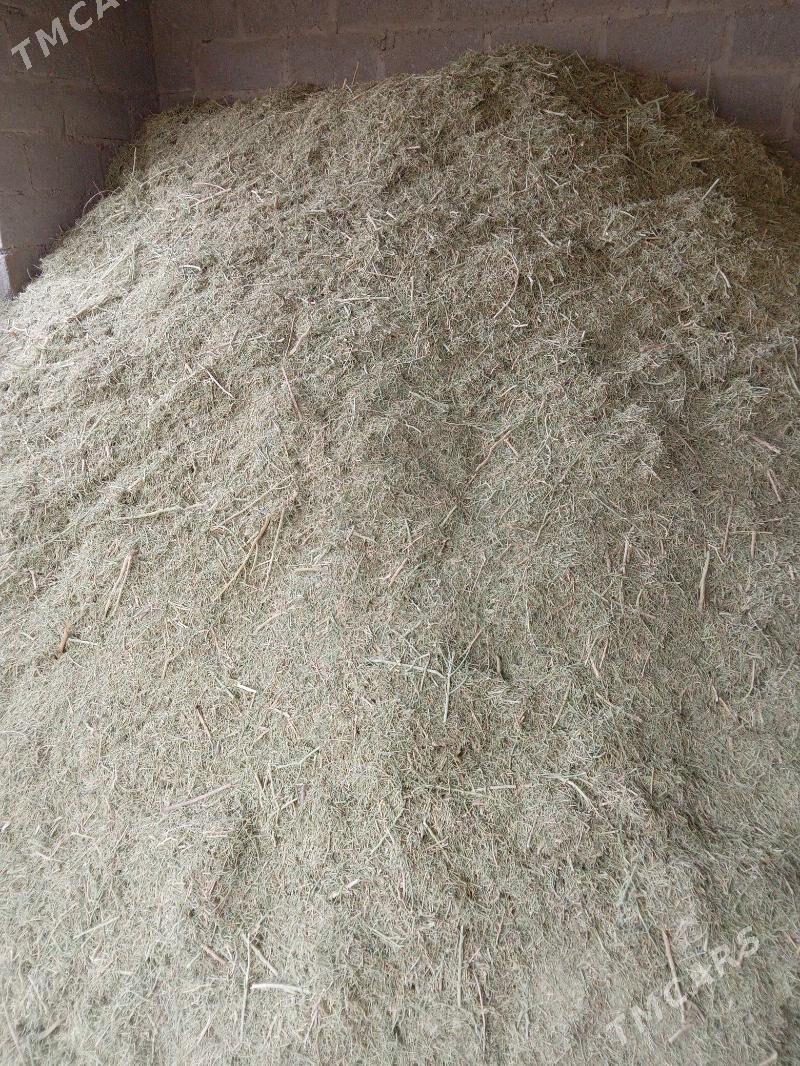 ýandak - Гумдаг - img 1