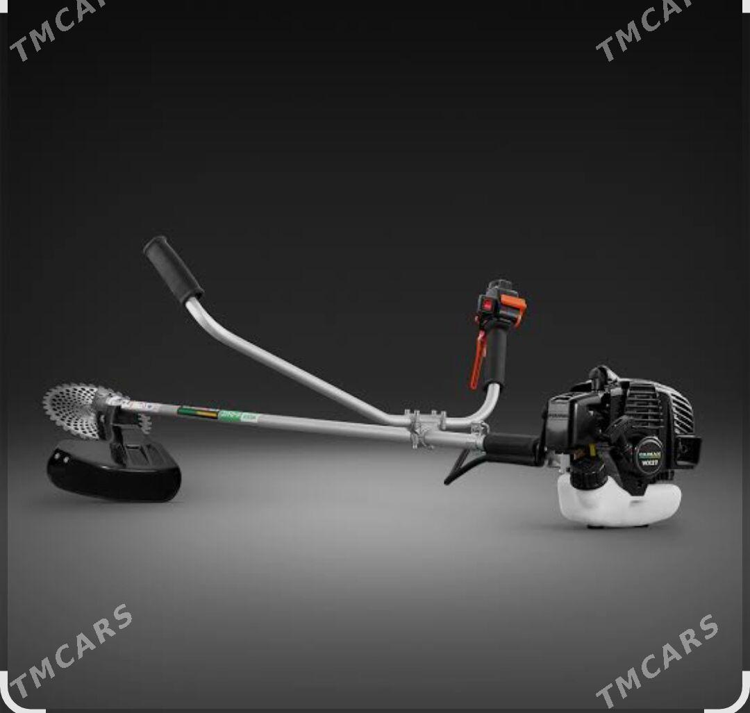 Ot orŷan - "Altyn Asyr" Gündogar bazary (Jygyllyk) - img 1