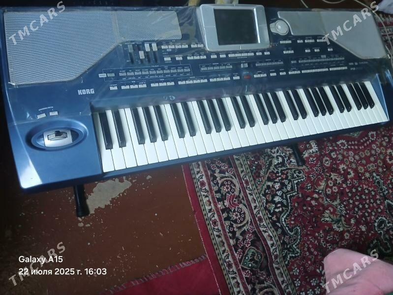 KORG PA 800 - Sakarçäge - img 1
