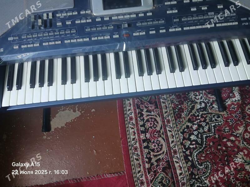 KORG PA 800 - Сакарчага - img 2
