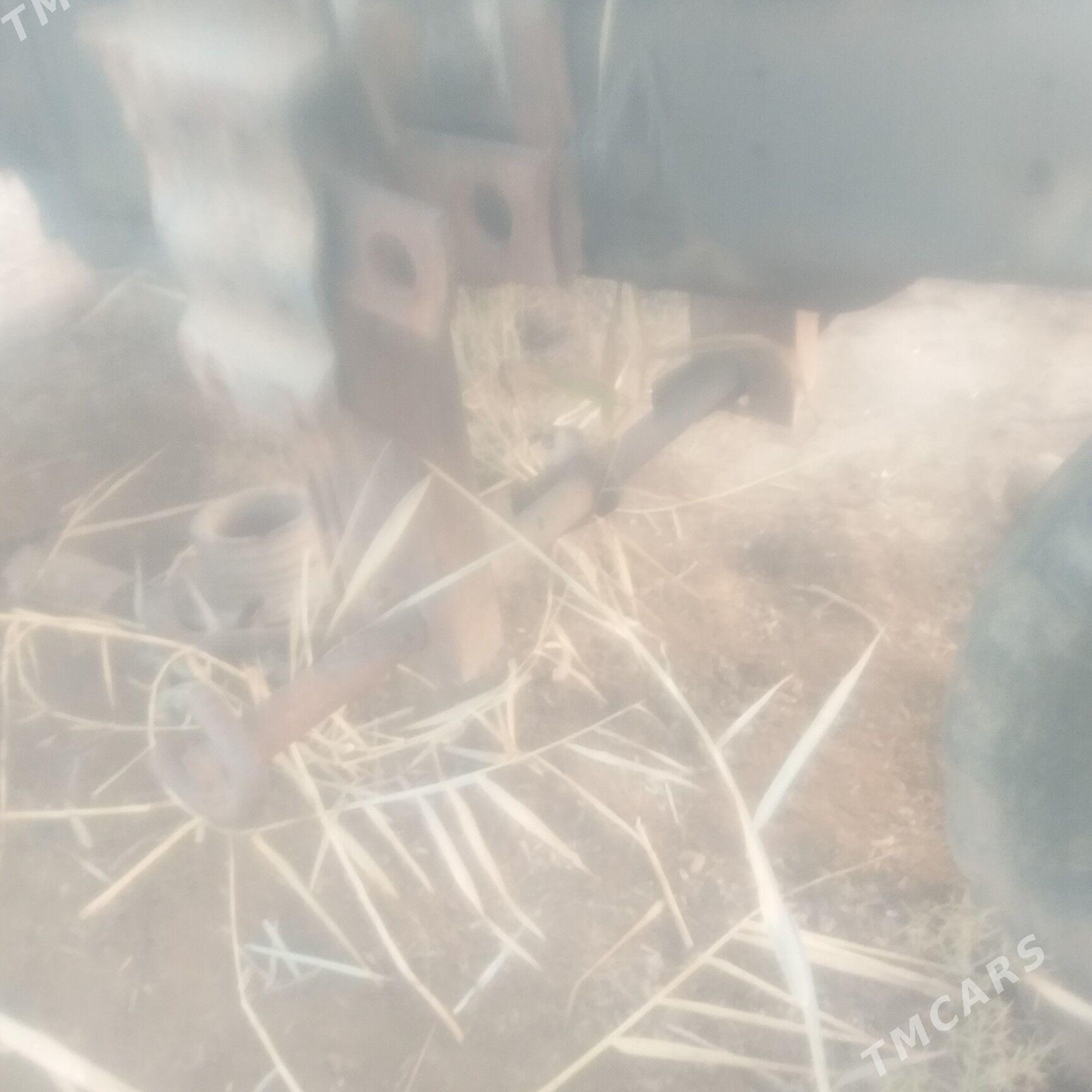 MTZ T-28 1995 - 5 000 TMT - Кёнеургенч - img 2