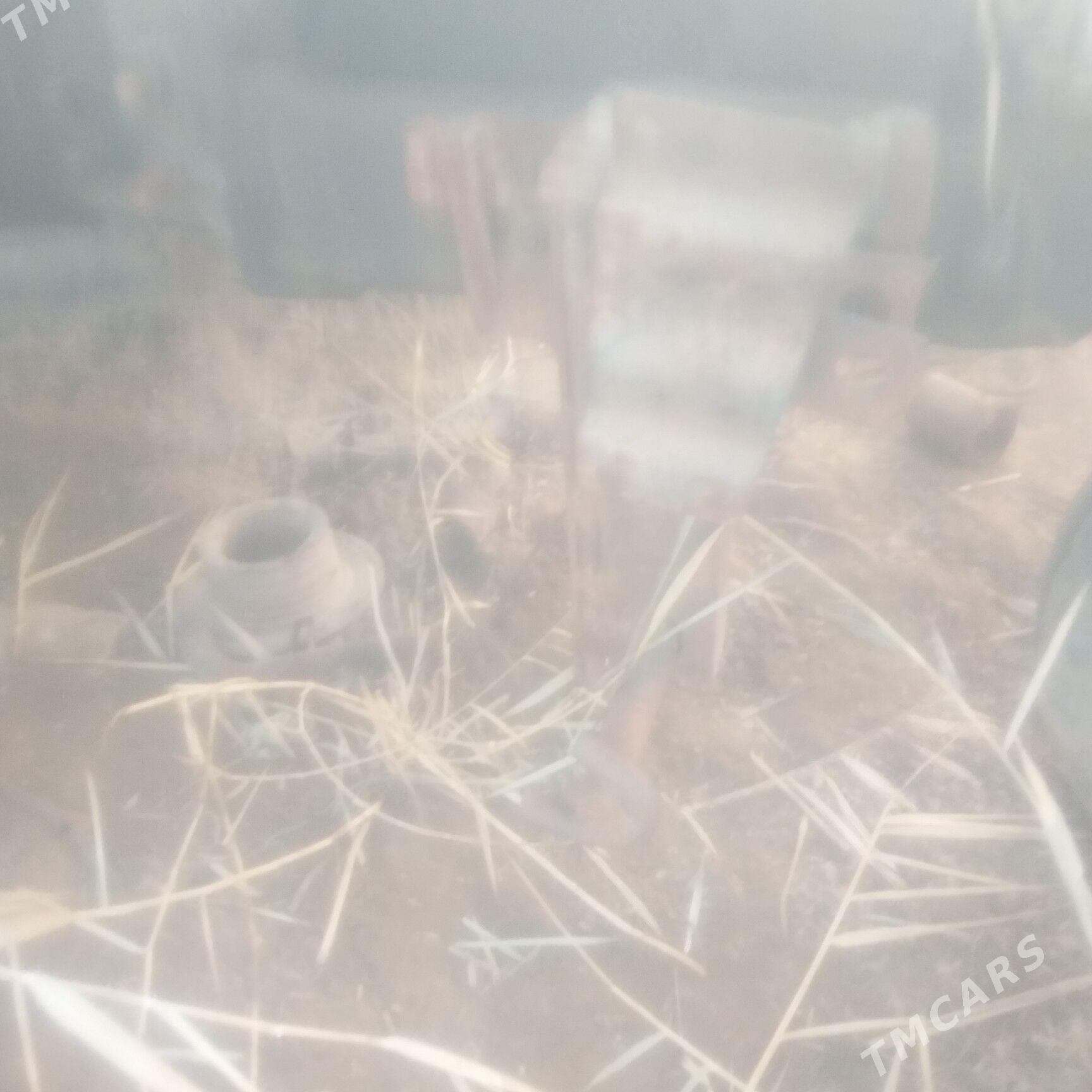 MTZ T-28 1995 - 5 000 TMT - Кёнеургенч - img 3