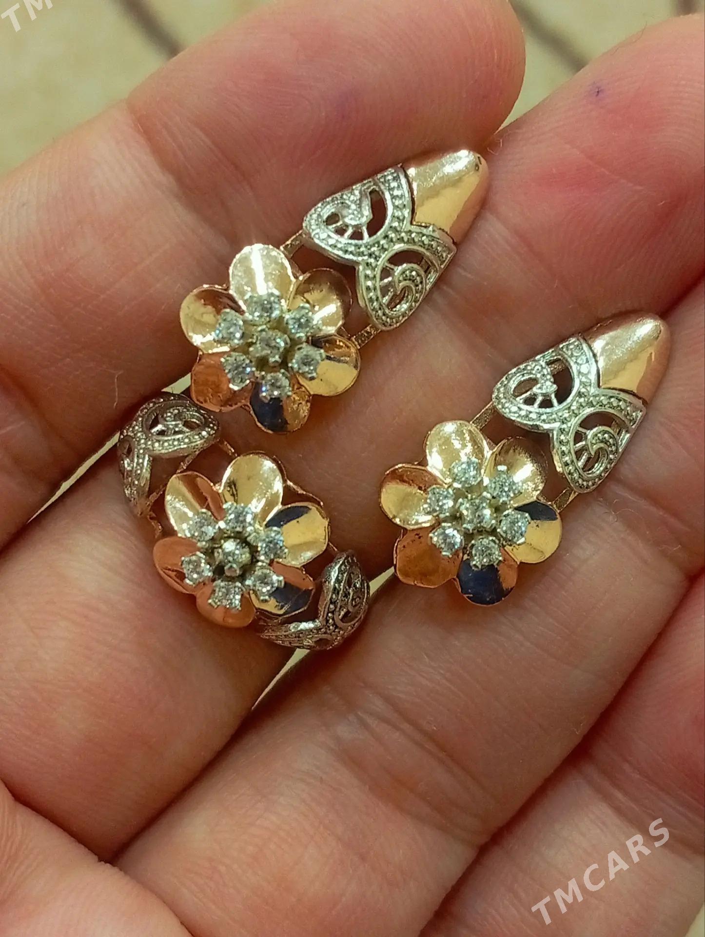 Gyzyl kampilekit - Ашхабад - img 2