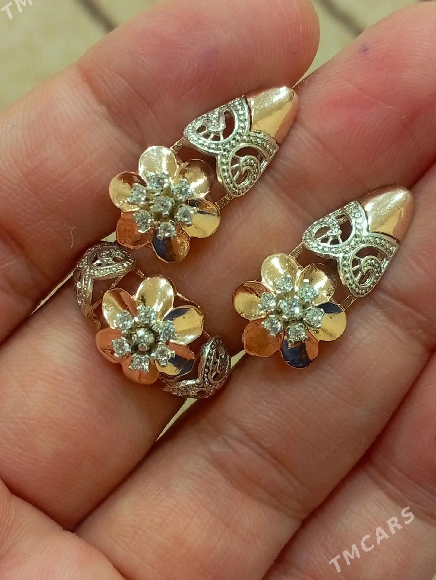 Gyzyl kampilekit - Ашхабад - img 3