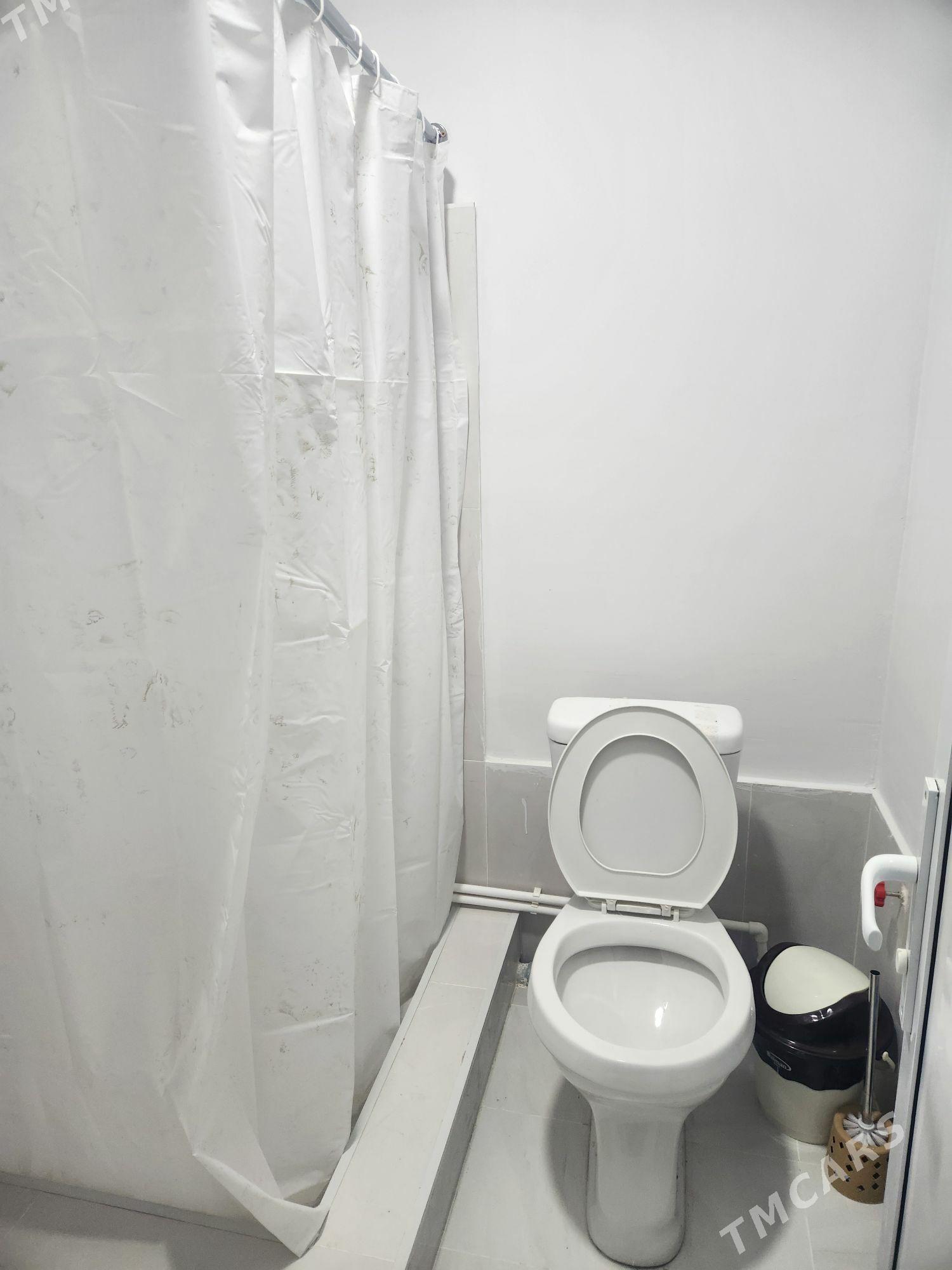 satlyk jay - Mary - img 2