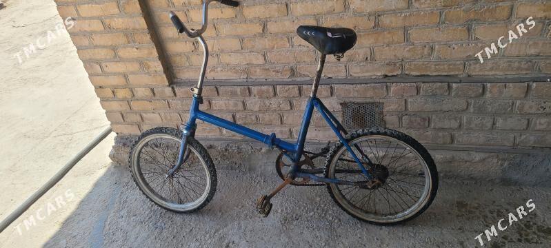 welik kama tigir - Mary - img 3