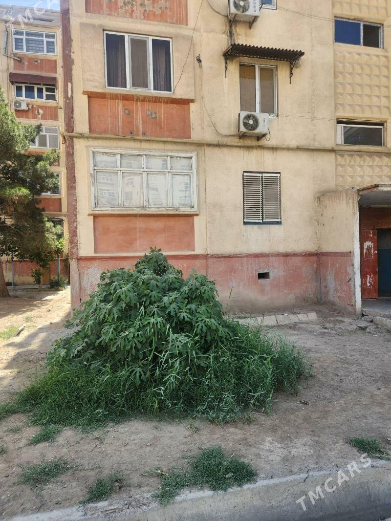 satlyk jay - Mary - img 8