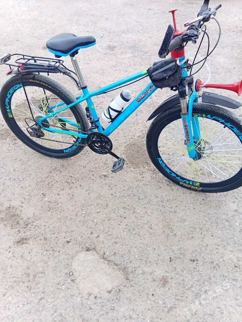 tigir - Gyzylarbat - img 2