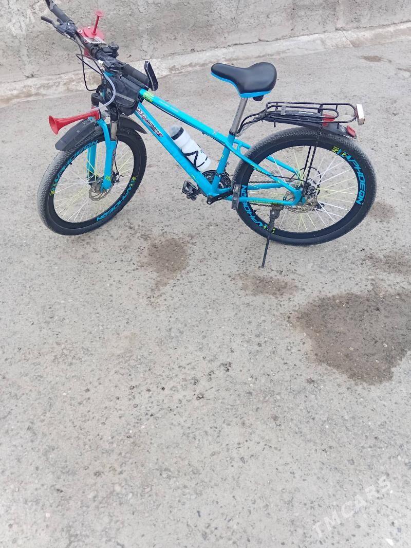 tigir - Gyzylarbat - img 3