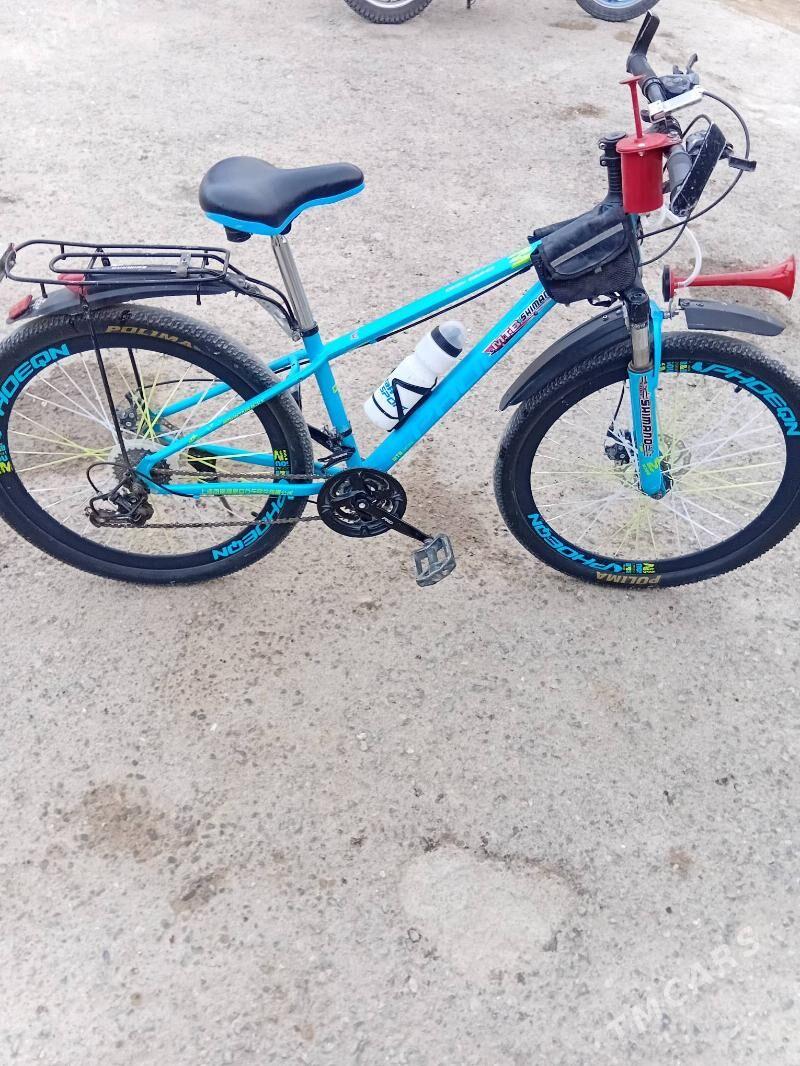 tigir - Gyzylarbat - img 1