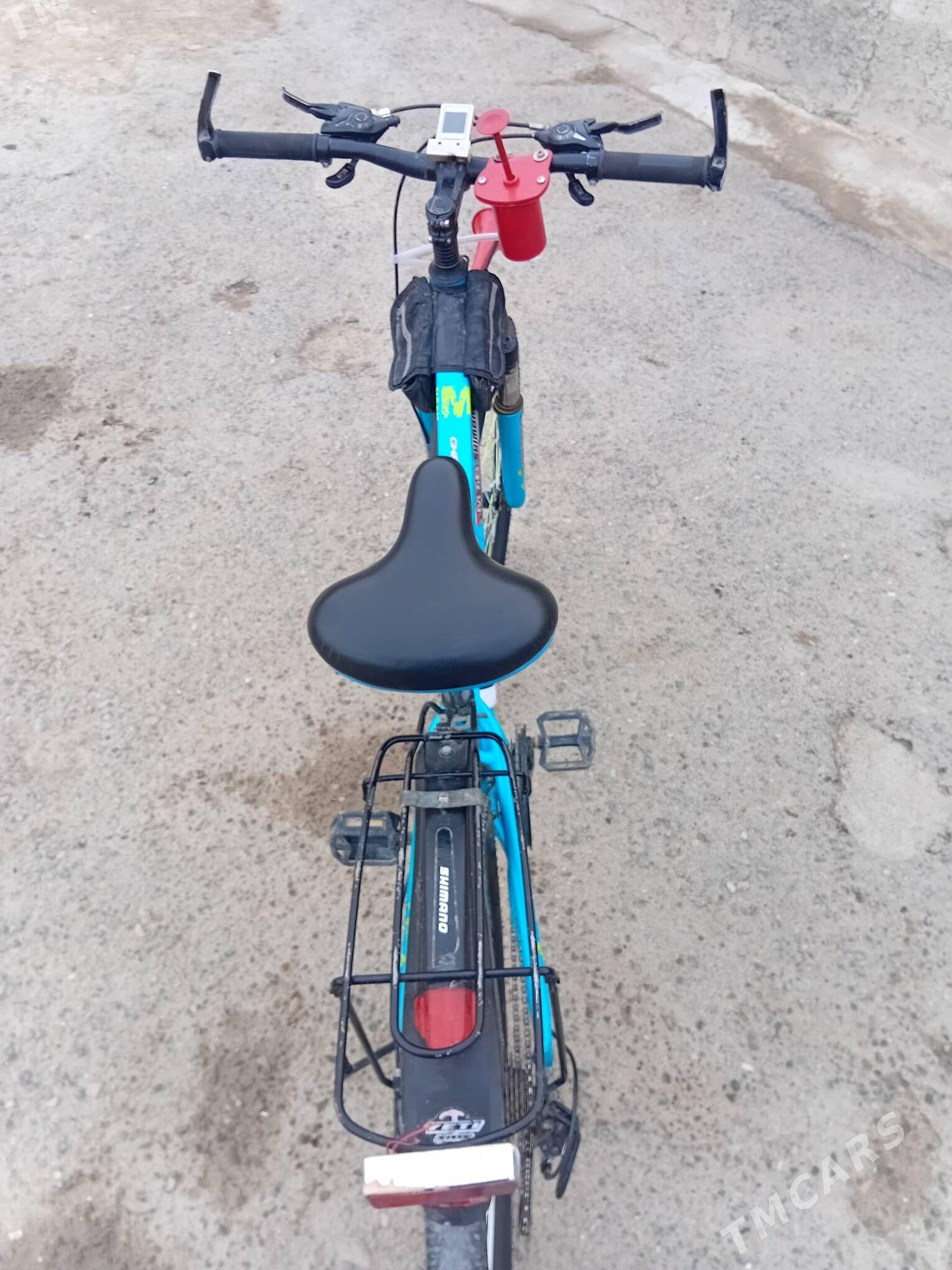 tigir - Gyzylarbat - img 4