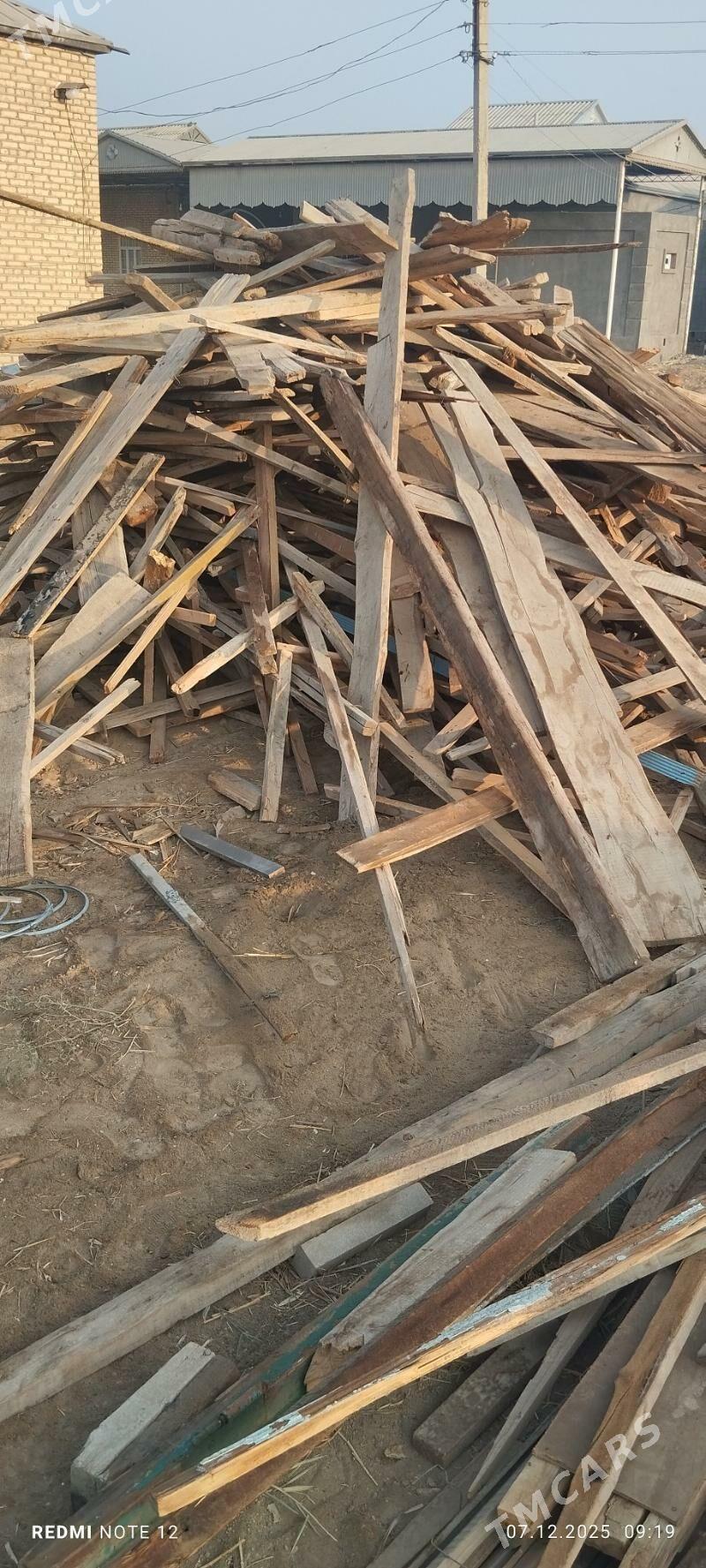 agac - Murgap - img 2