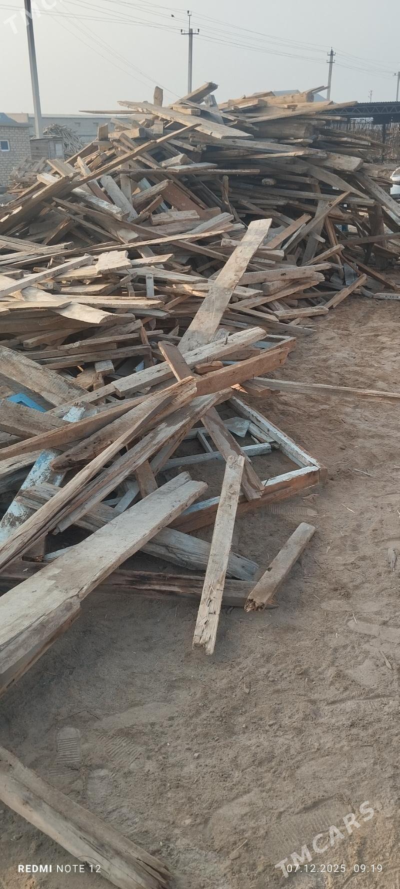 agac - Murgap - img 3