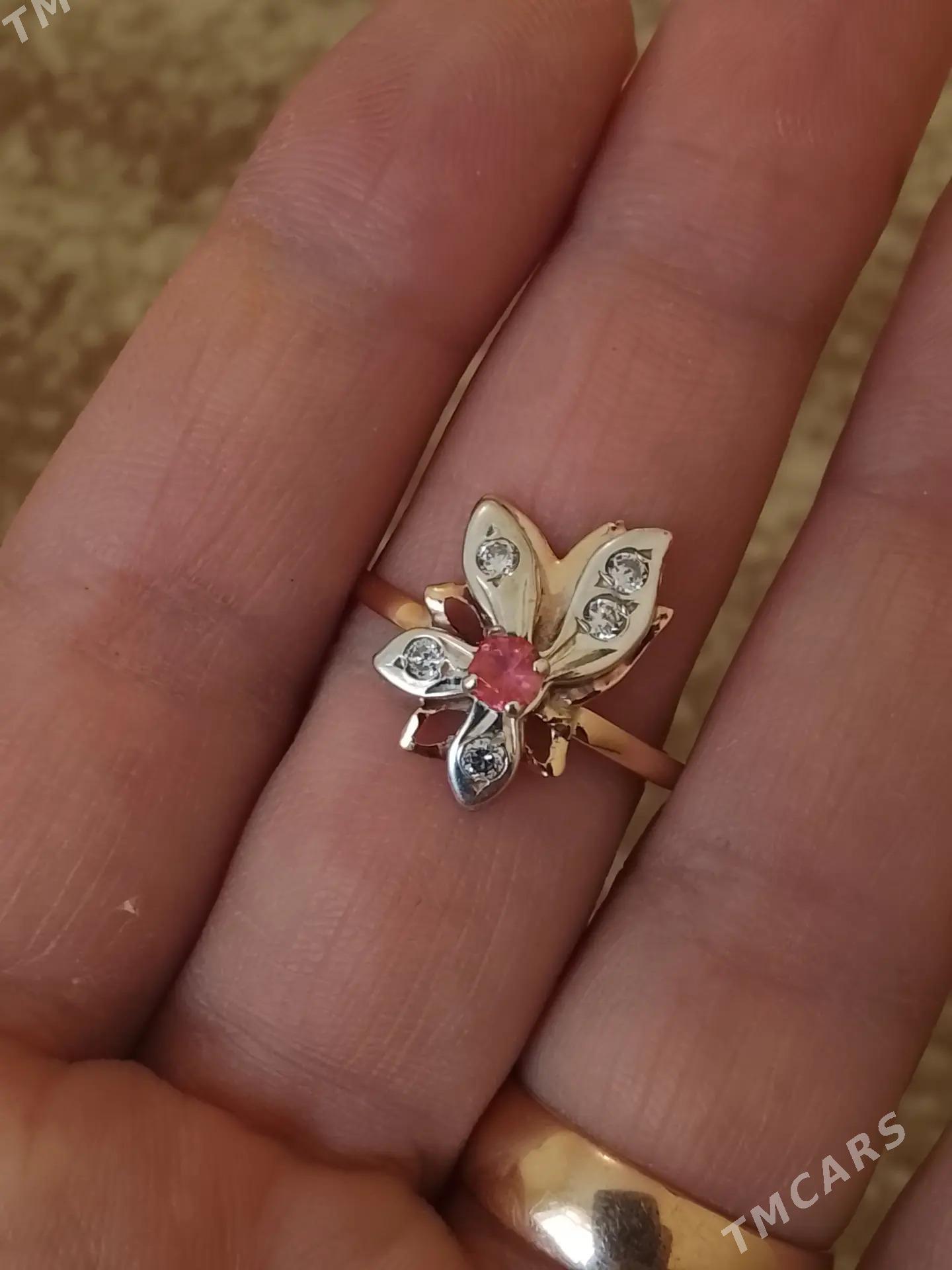 Gyzyl yuzik - Aşgabat - img 1