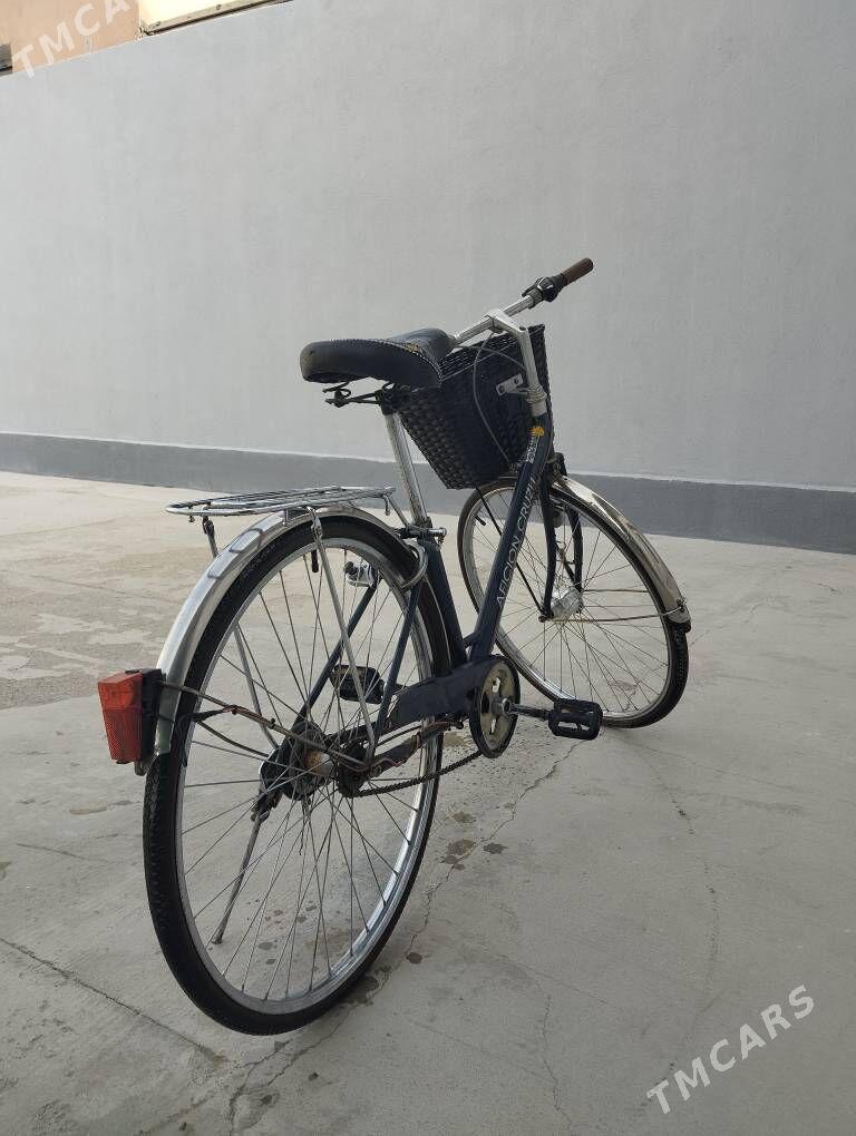 tigir - Анев - img 2