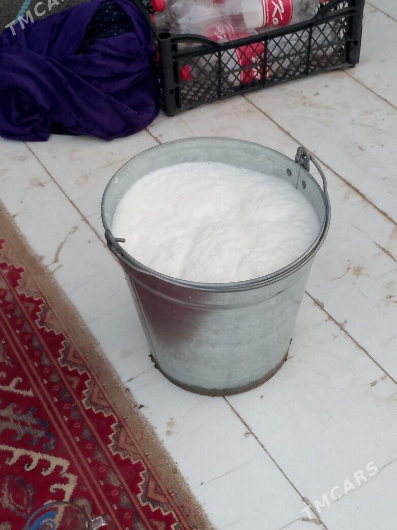 Göleli Sygyr - Чоганлы - img 5