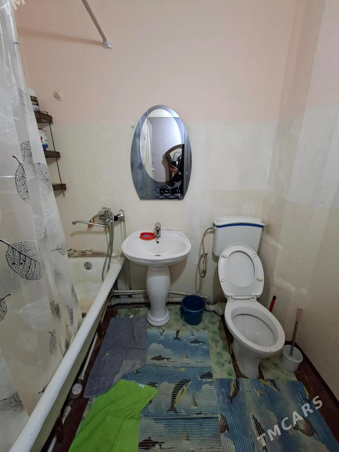 Satlyk jaŷ - Mary - img 5