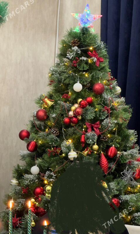 Ёлка / Arça - Туркменбаши - img 1