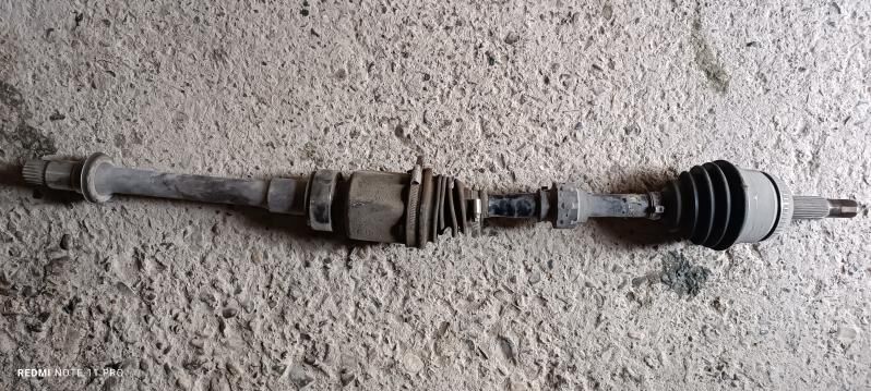 Okuz kelle granat 2.4 1 100 TMT - Gyzylarbat - img 2