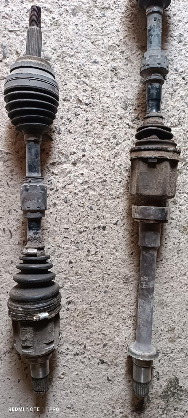 Okuz kelle granat 2.4 1 100 TMT - Gyzylarbat - img 1