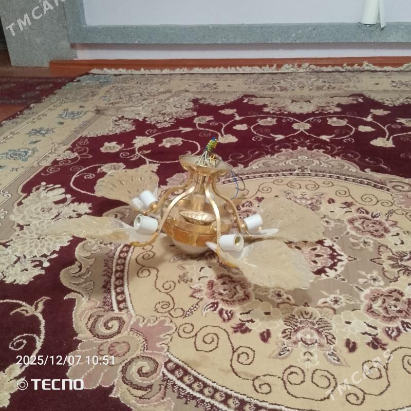 LUSTYRA - Daşoguz - img 2