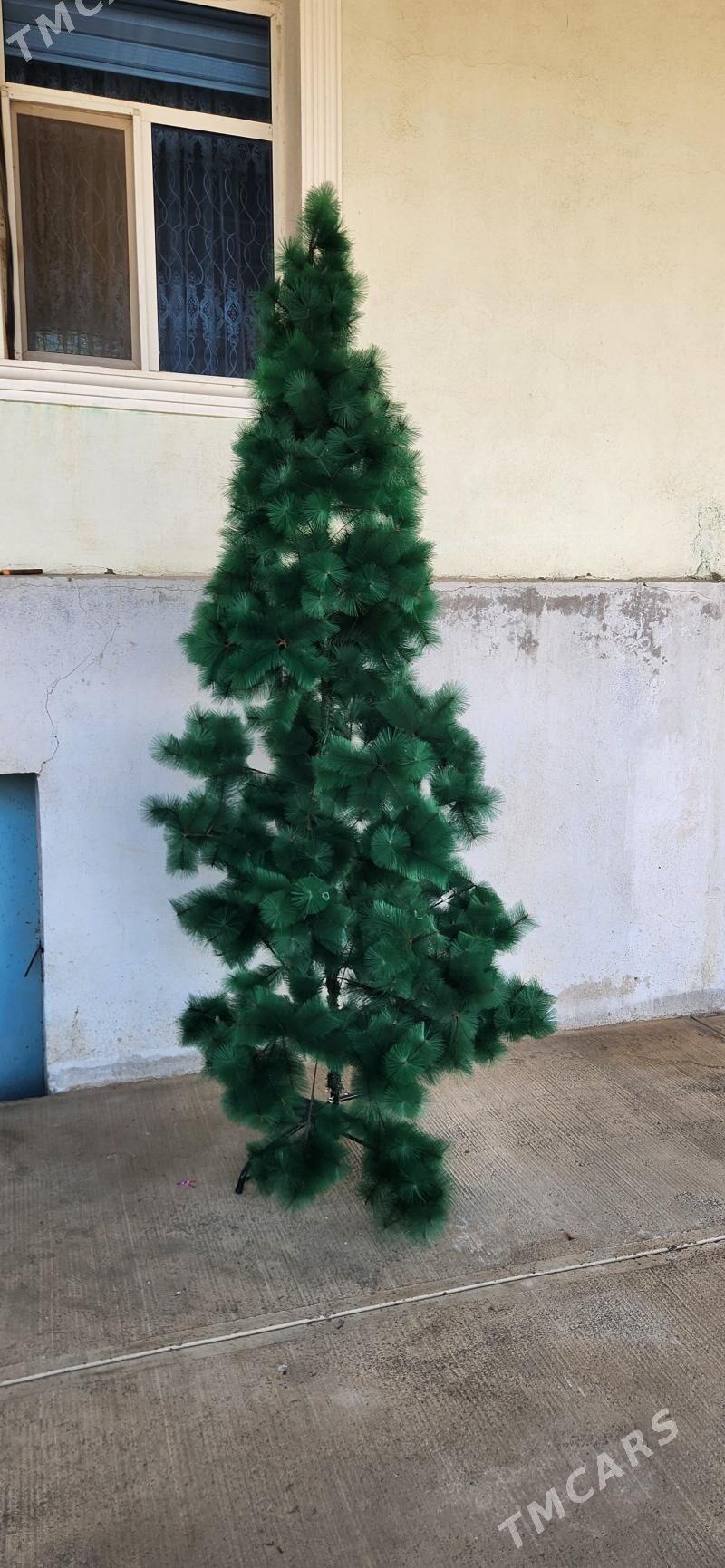 yolka arca - Гёкдже - img 1