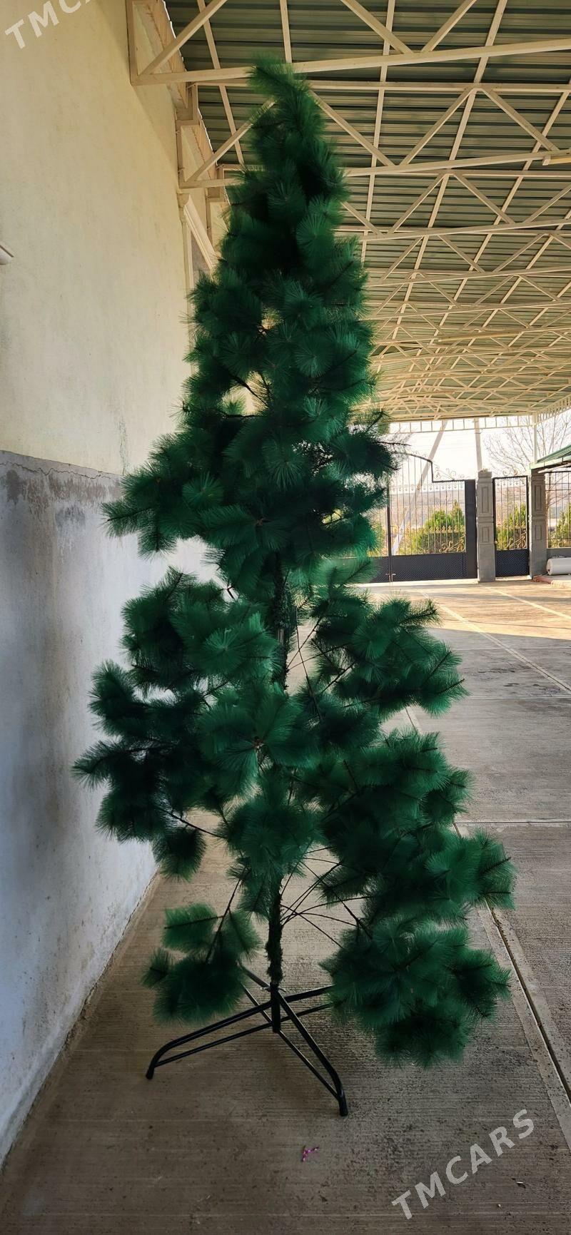 yolka arca - Gökje - img 3