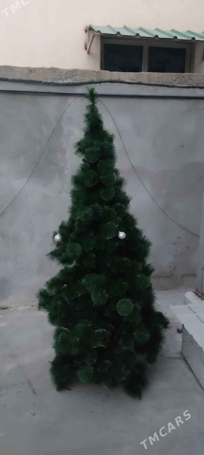 yolka - Aşgabat - img 2