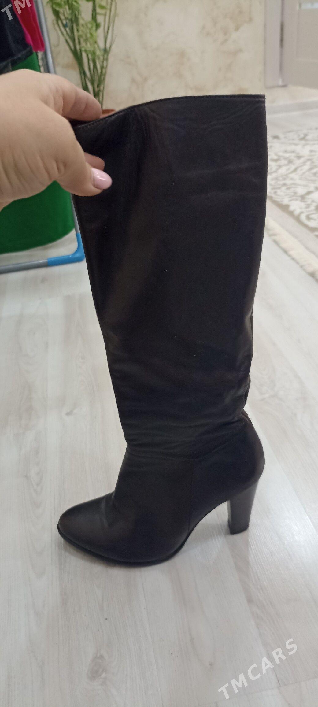 сапоги - Howdan "W" - img 2