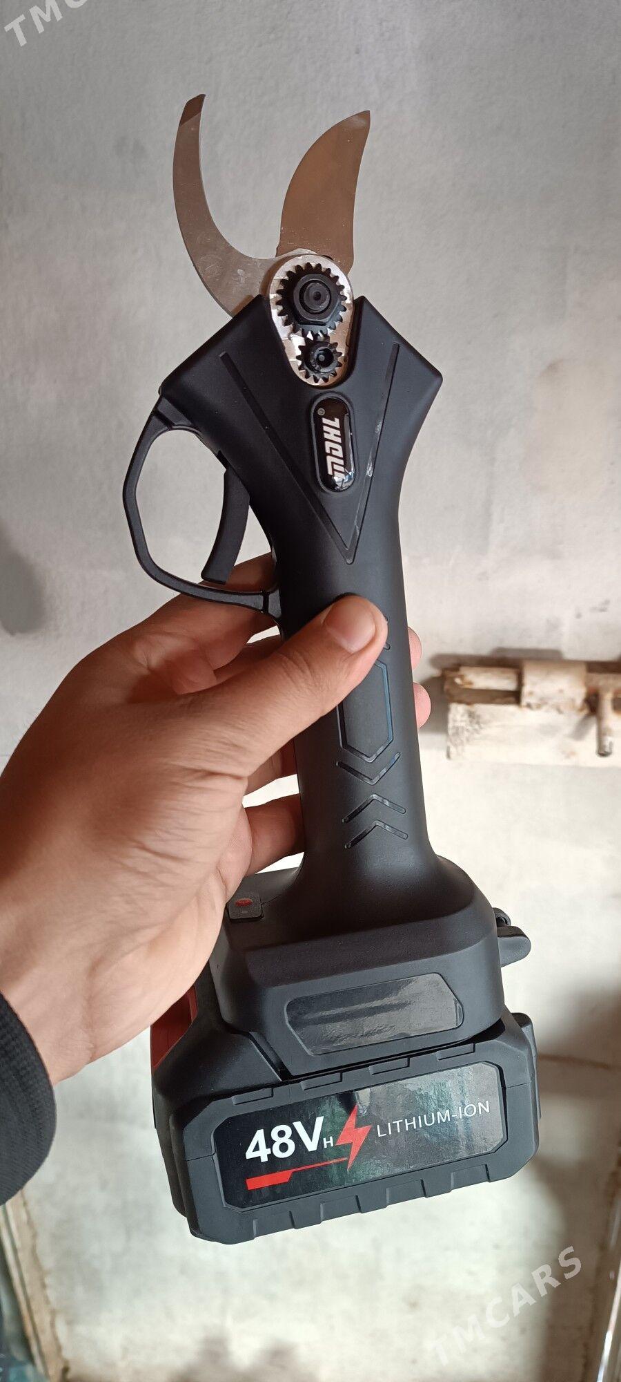 Uzum gaycy batareyli - Мары - img 1