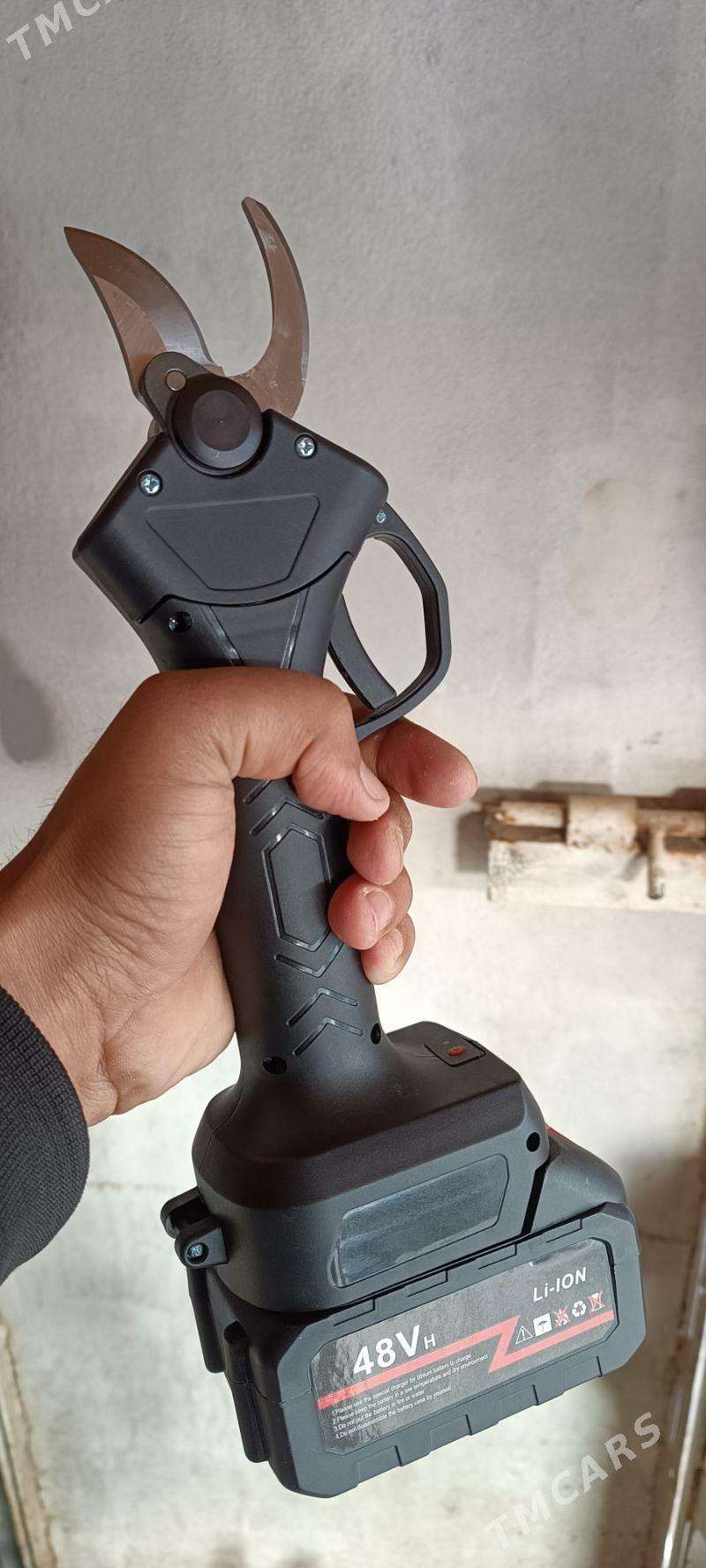 Uzum gaycy batareyli - Мары - img 2