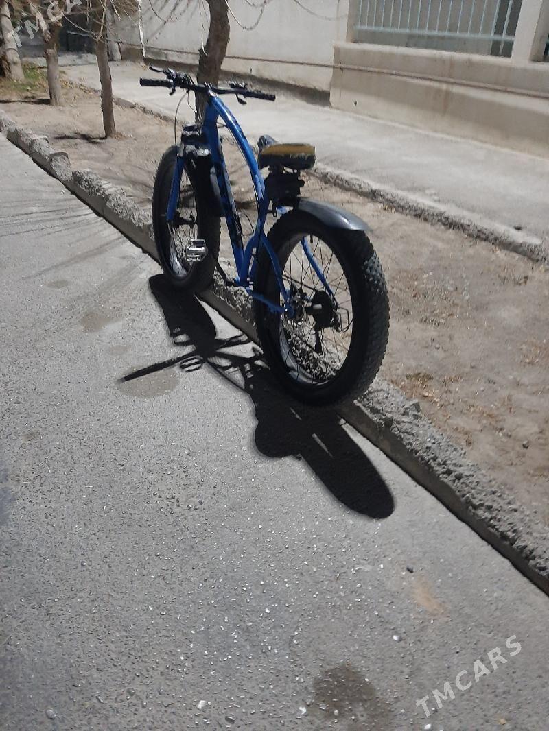 axan - Херрикгала - img 2