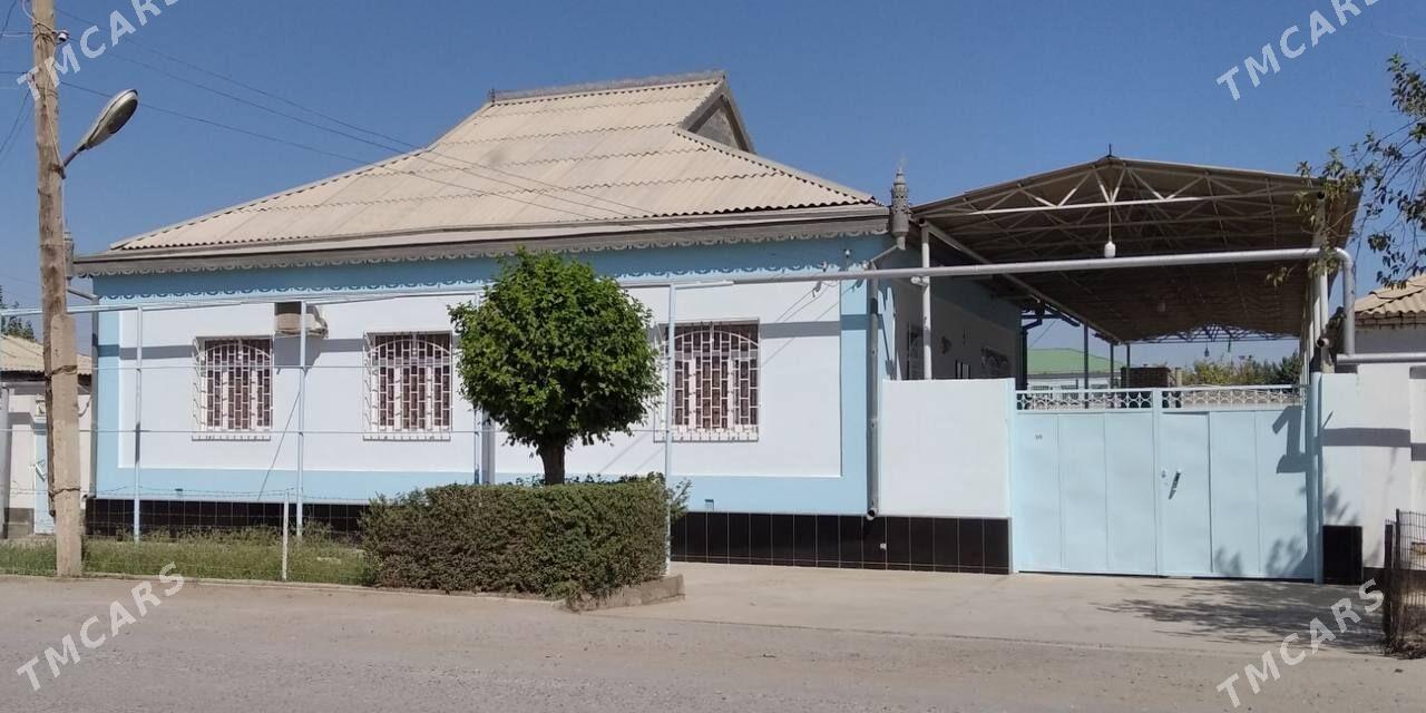 Howly jay - Теджен - img 1