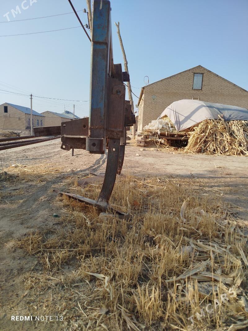 pagta çop çpyan - Halaç - img 4