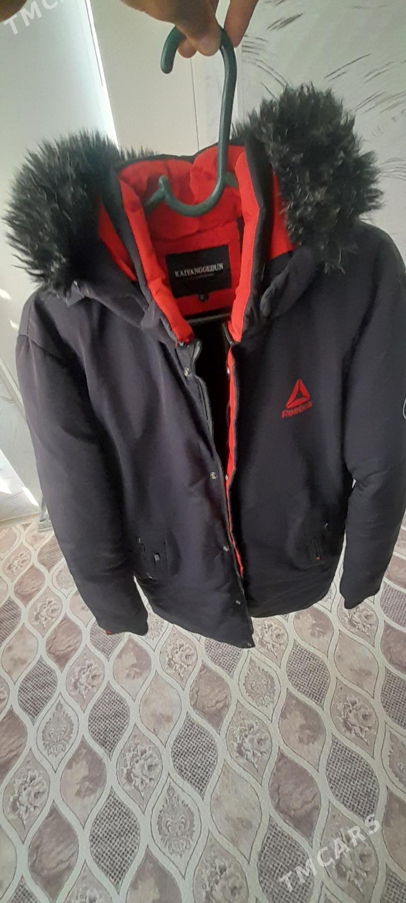 kurtga - Туркменбаши - img 2