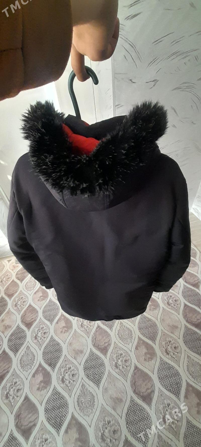 kurtga - Туркменбаши - img 1