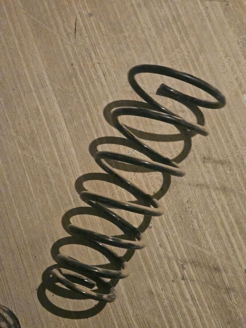 Purzin 200 TMT - Тязе заман - img 2