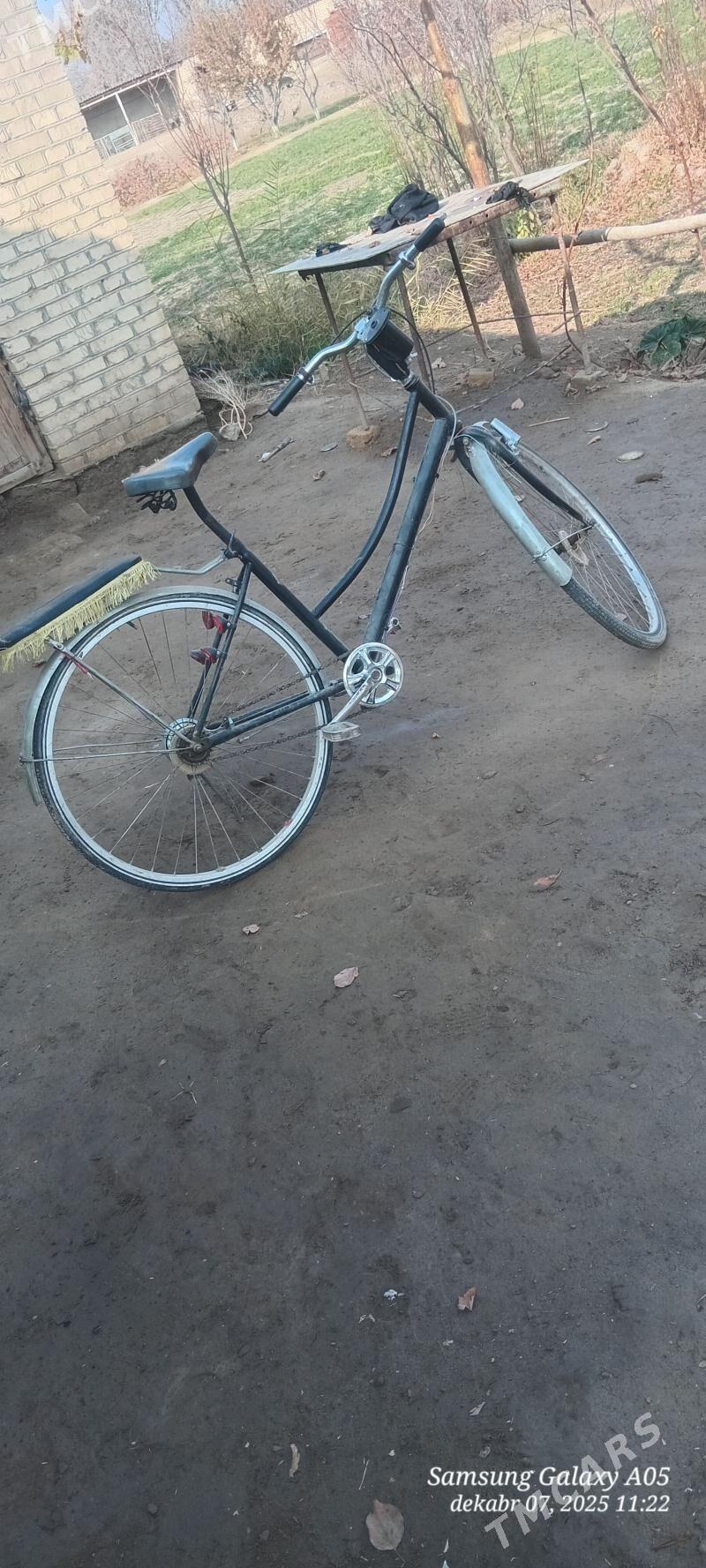 welsepid - Türkmengala - img 2