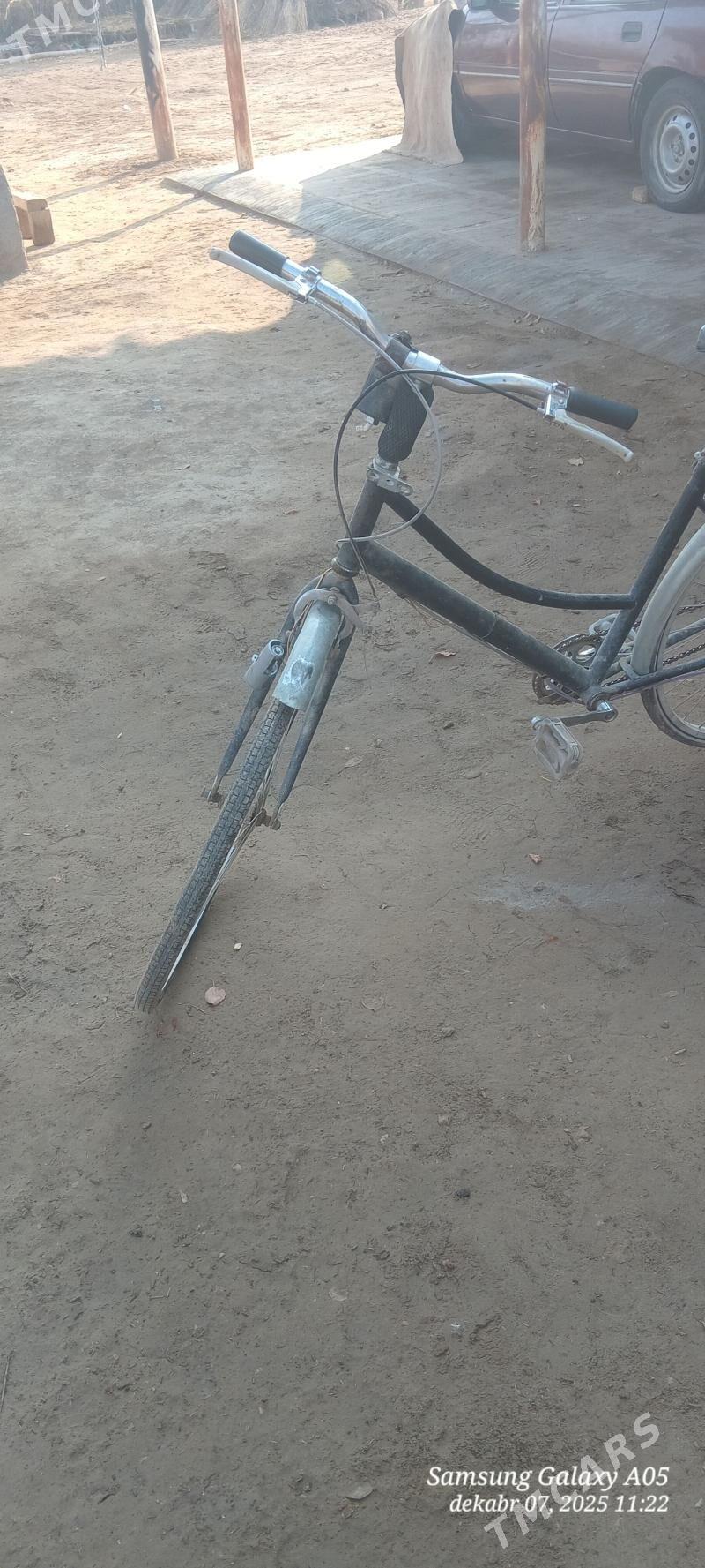 welsepid - Türkmengala - img 1