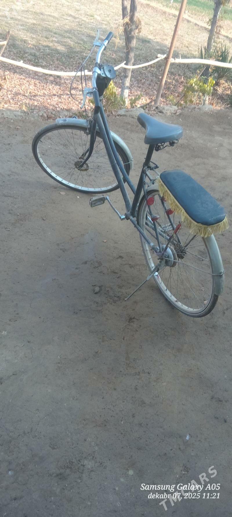 welsepid - Türkmengala - img 3