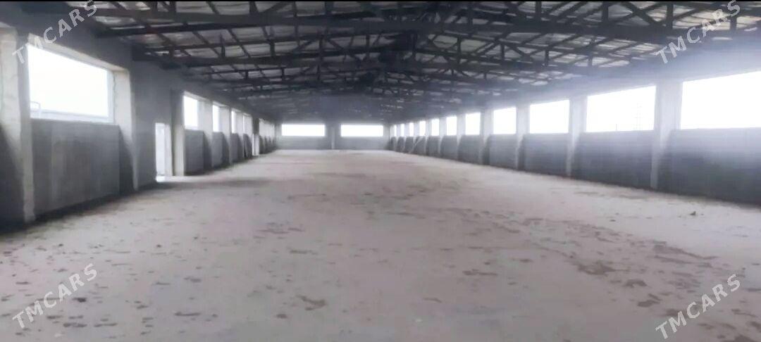 Kärende - Arenda taýýar ýerler - Täze zaman - img 3