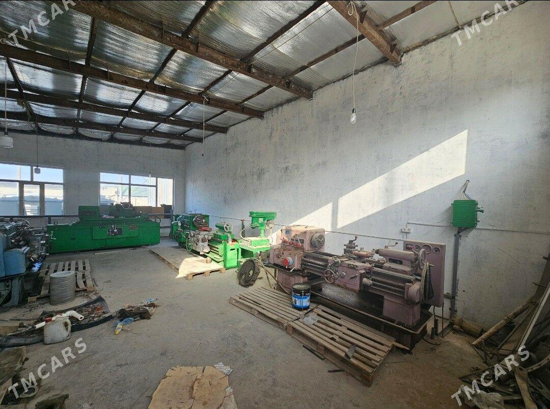 Kärende - Arenda taýýar ýerler - Täze zaman - img 6