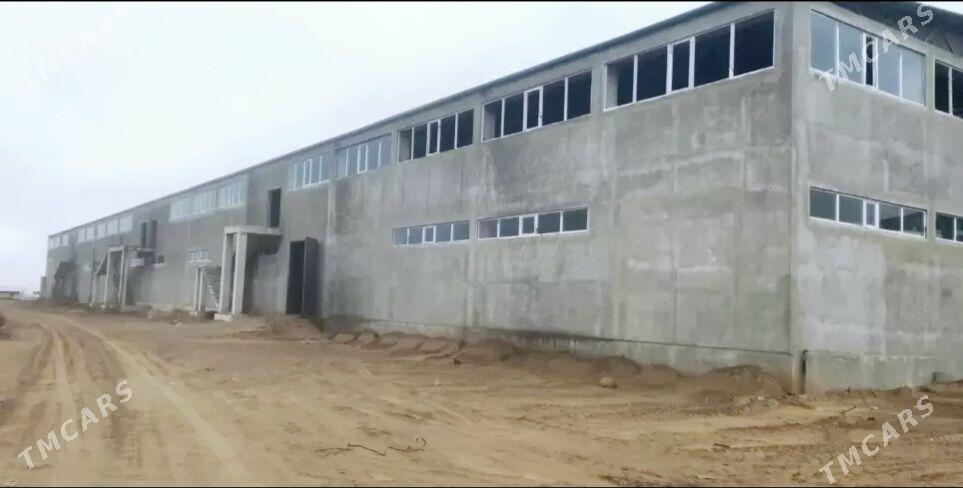 Kärende - Arenda taýýar ýerler - Täze zaman - img 2