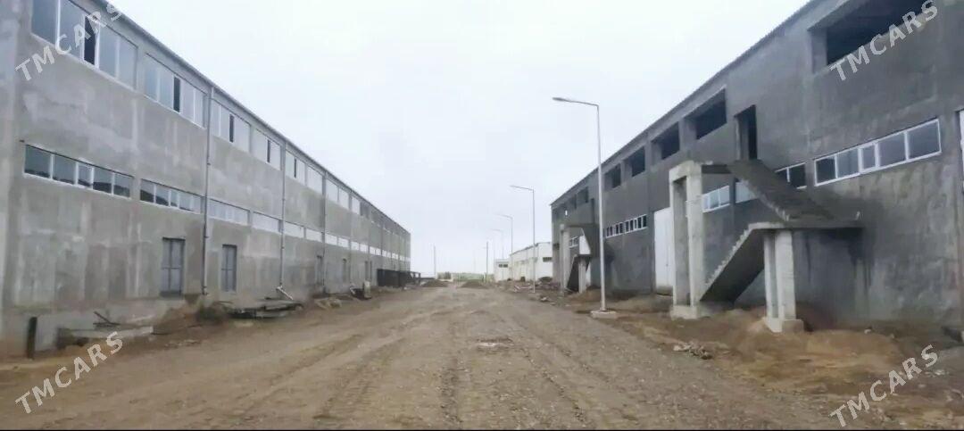 Kärende - Arenda taýýar ýerler - Täze zaman - img 1