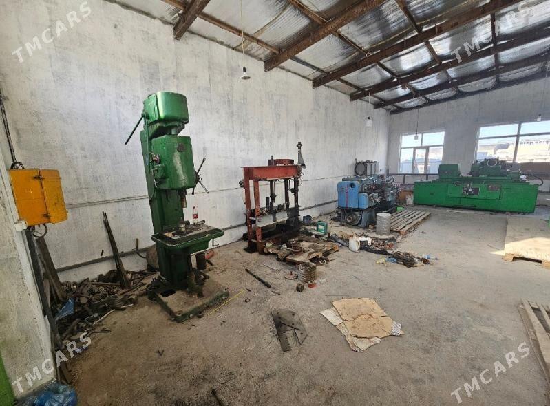 Kärende - Arenda taýýar ýerler - Täze zaman - img 7