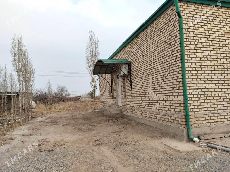 жай сатыляр - Гороглы (Тагта) - img 5