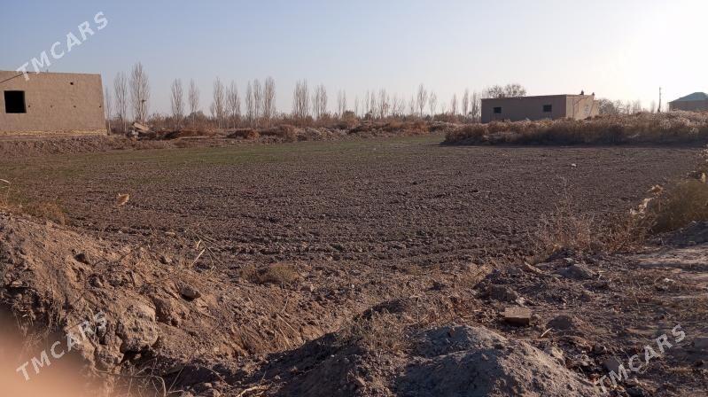 Mellek yer - Akdepe - img 1