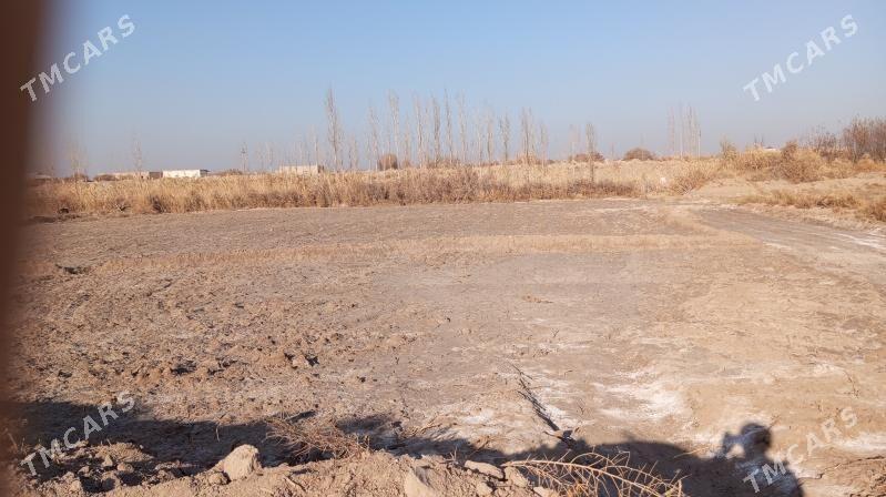 Mellek yer - Akdepe - img 3