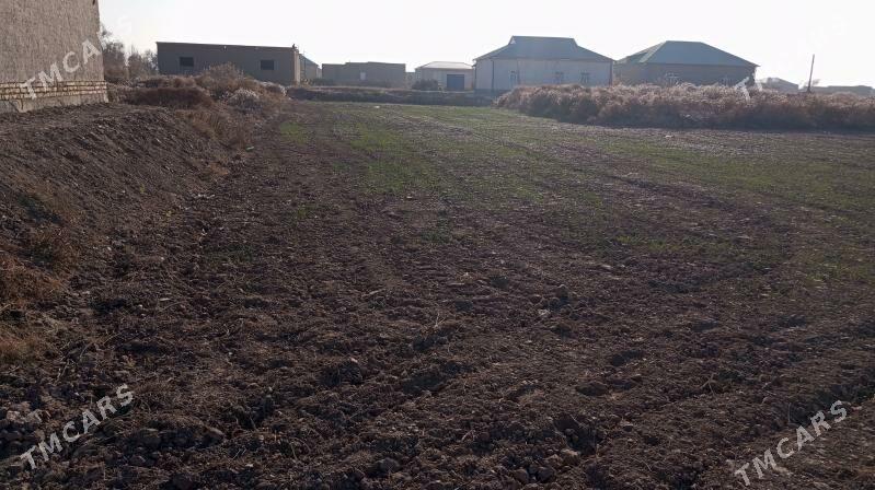 Mellek yer - Akdepe - img 2