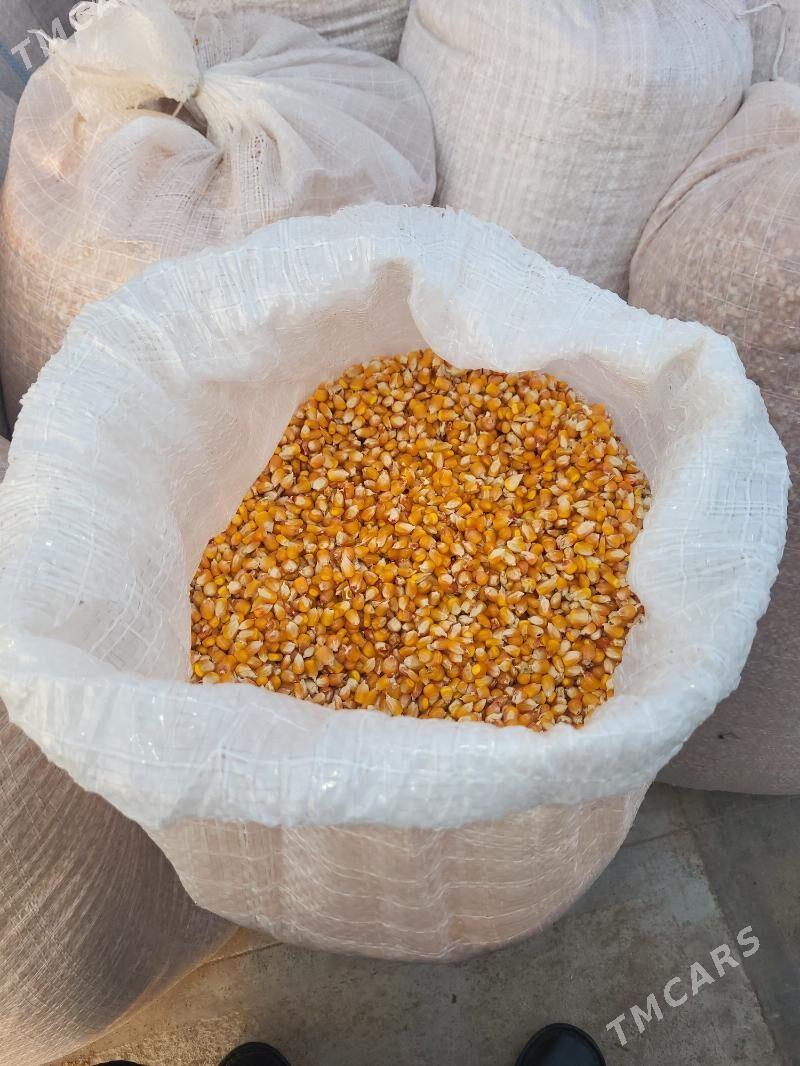 Mekge - Sarahs - img 2